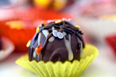 Hrana-dekoracije-2016-163