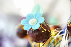 Hrana-dekoracije-2016-165