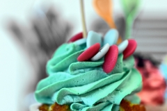 Hrana-dekoracije-2016-168