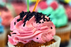 Hrana-dekoracije-2016-169