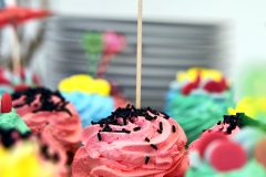 Hrana-dekoracije-2016-170